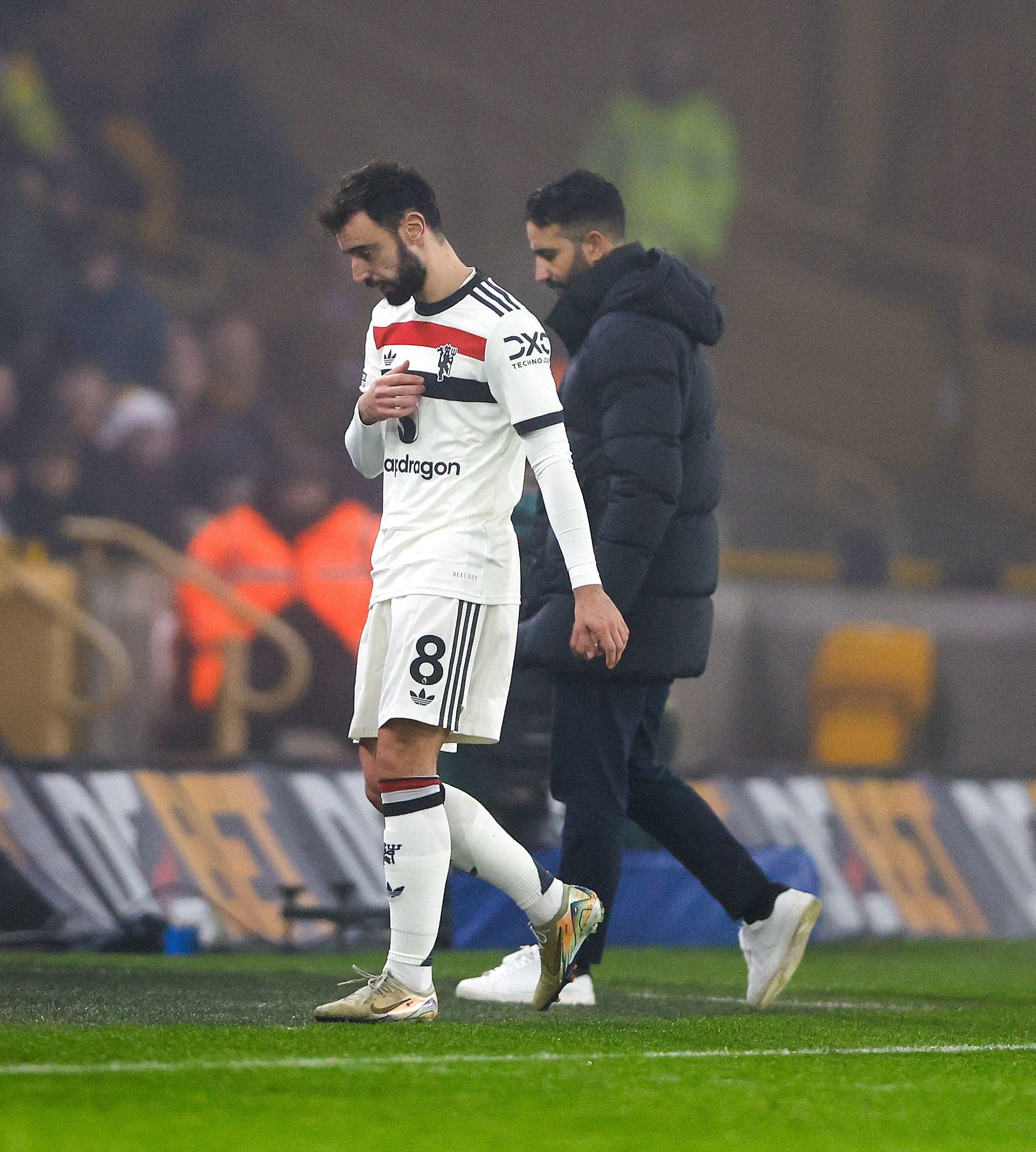 关于德国队在主场遭遇失利，积分降至倒数第二的信息